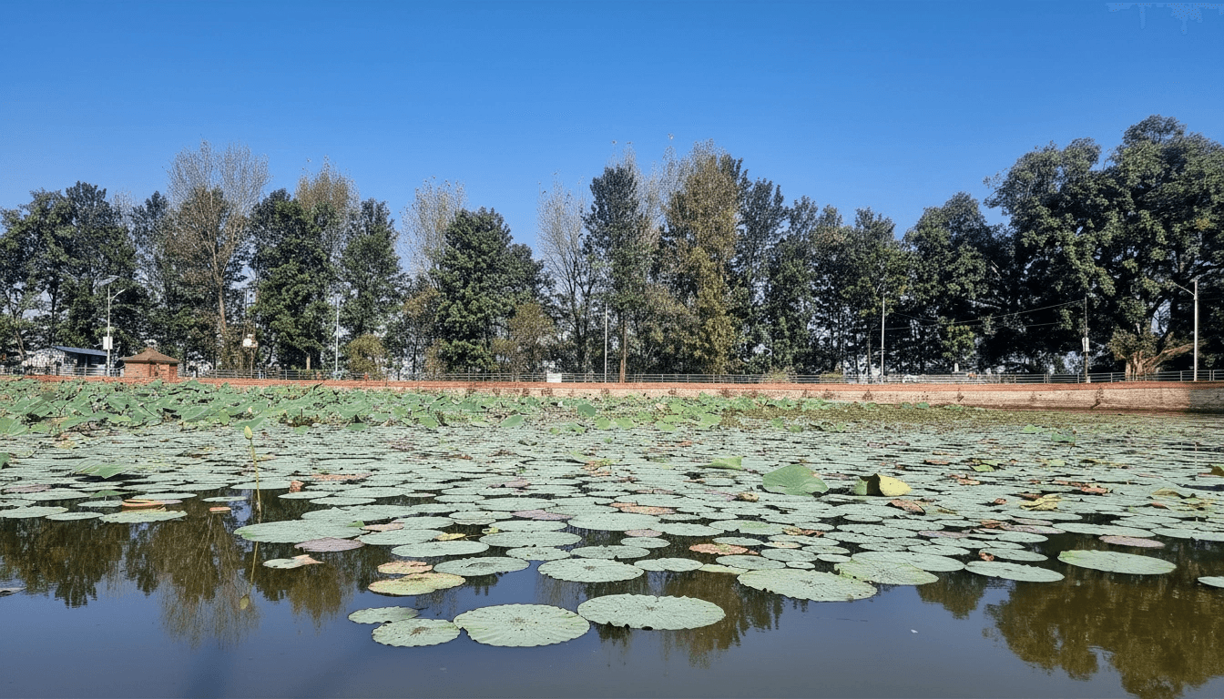 Historic and cultural streetscape in Madhyapur Thimi.